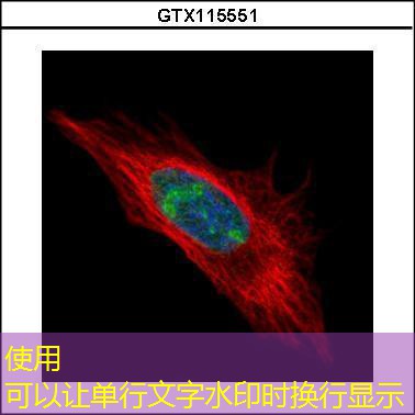 gravidez ectopica o beta aumenta